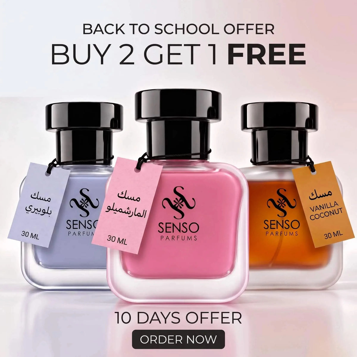 MUSK MINI SET - BUY 2 GET 1 FREE